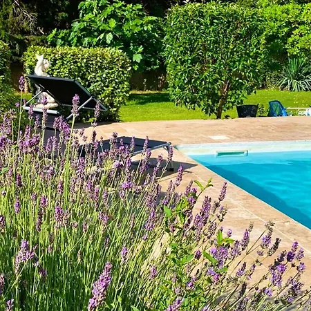 Les Ecureuils * Narbonne